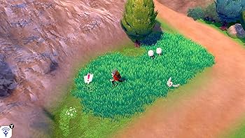 Amazon.co.jp: Nintendo Switch Lite ザシアン・ザマゼンタ +