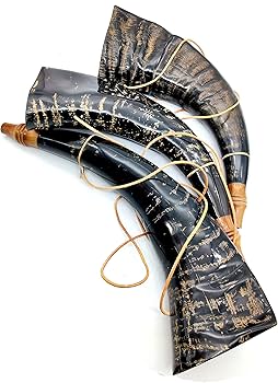 Amazon.co.jp: Viking War バッファローホーン バトル トランペット