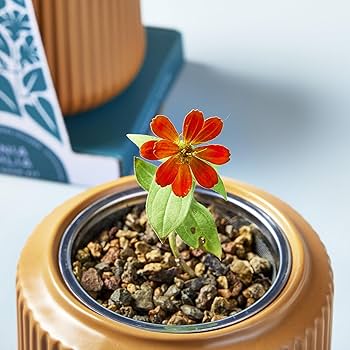 81RMkuL8LOL._AC_UF350,