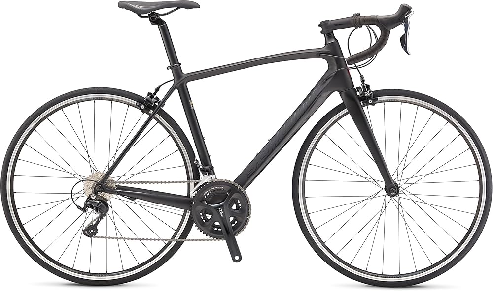 Amazon | SCHWINN (シュウィン) ロードバイク FASTBACK CARBON マット