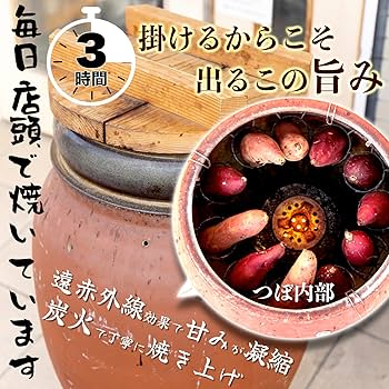 Amazon.co.jp: つぼ焼き芋 冷凍 1本 250g 個包装 焼き芋 さつまいも