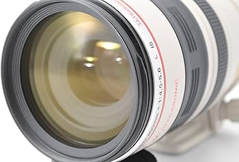 Amazon.co.jp: Canon 望遠ズームレンズ EF100-400mm F4.5-5.6L IS USM
