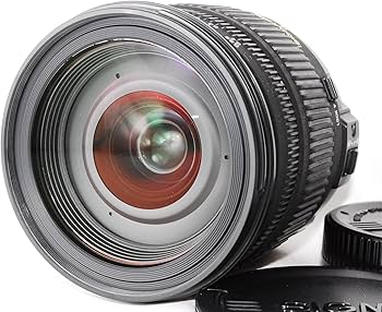 Amazon | シグマ(Sigma) SIGMA シグマ 18-50mm F2.8 EX DC MACRO HSM