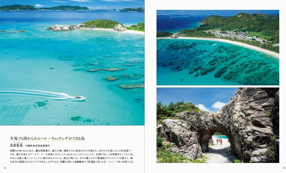 いつか旅してみたい 美しい日本の島100 | パイ インターナショナル |本