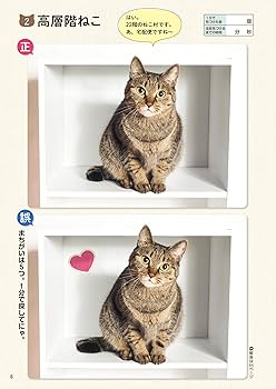 毎日脳活スペシャル 超にゃん問！ ねこのまちがいさがし お座りねこ