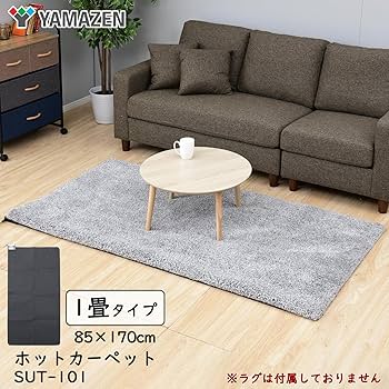 Amazon | [山善] ホットカーペット 空気をキレイにする 電気カーペット