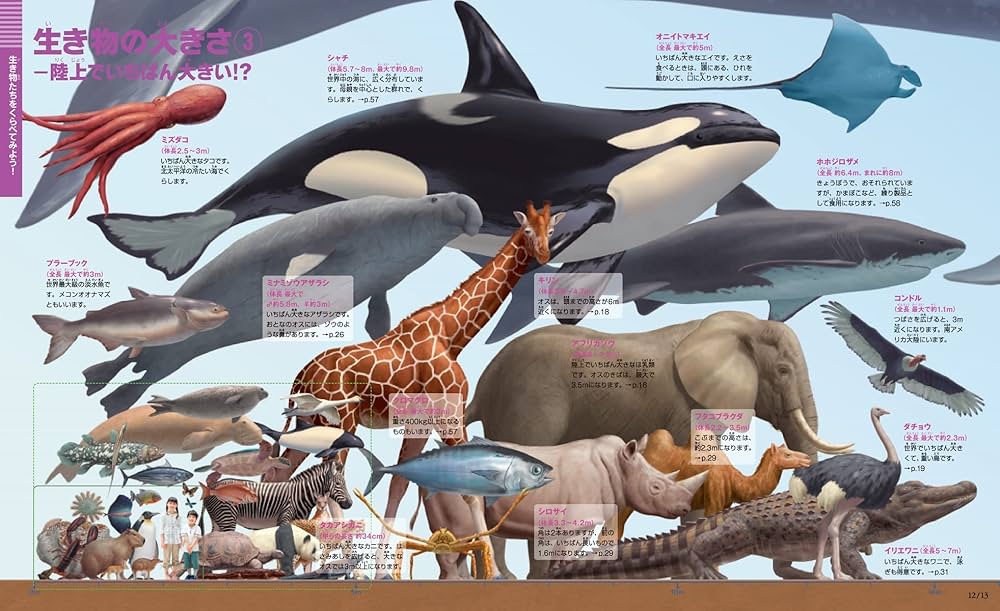 Amazon.co.jp: [新版]くらべる図鑑 (小学館の図鑑 NEO+プラス) : 加藤