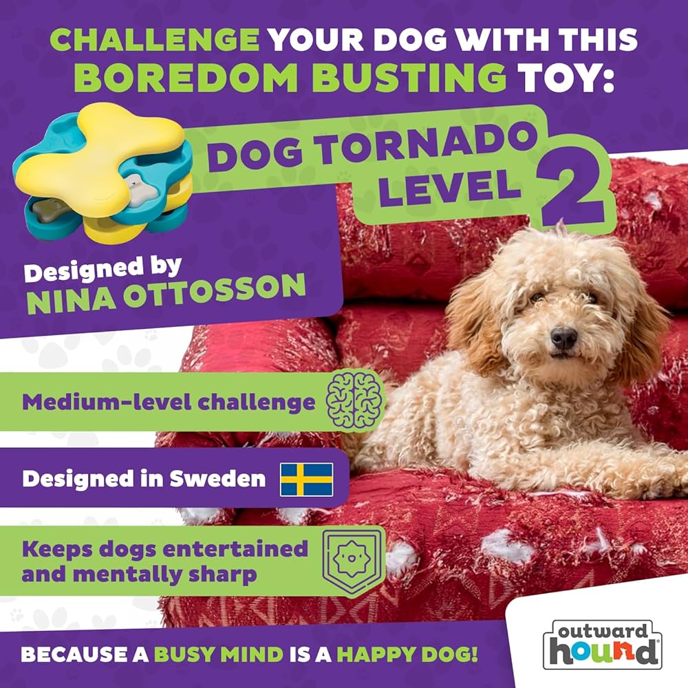 Outward Hound Nina Ottosson Interactive Dog Toys - Medium Level 2