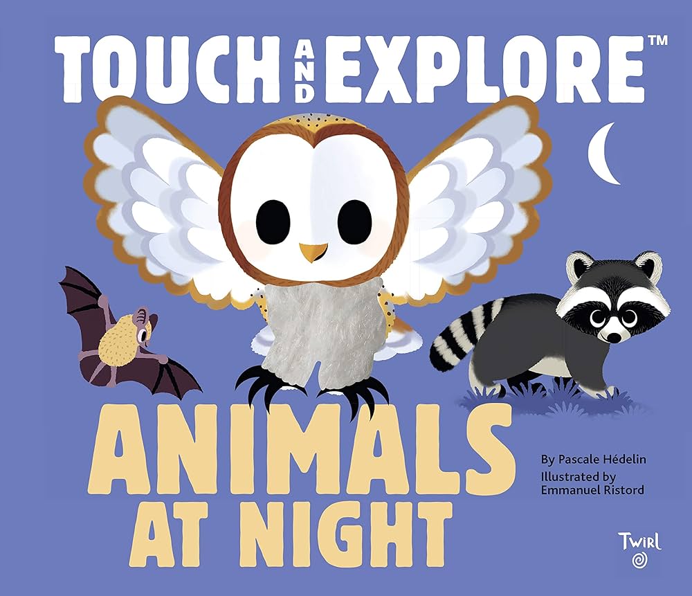 Amazon.com: Touch and Explore: Animals at Night: 9782408015985