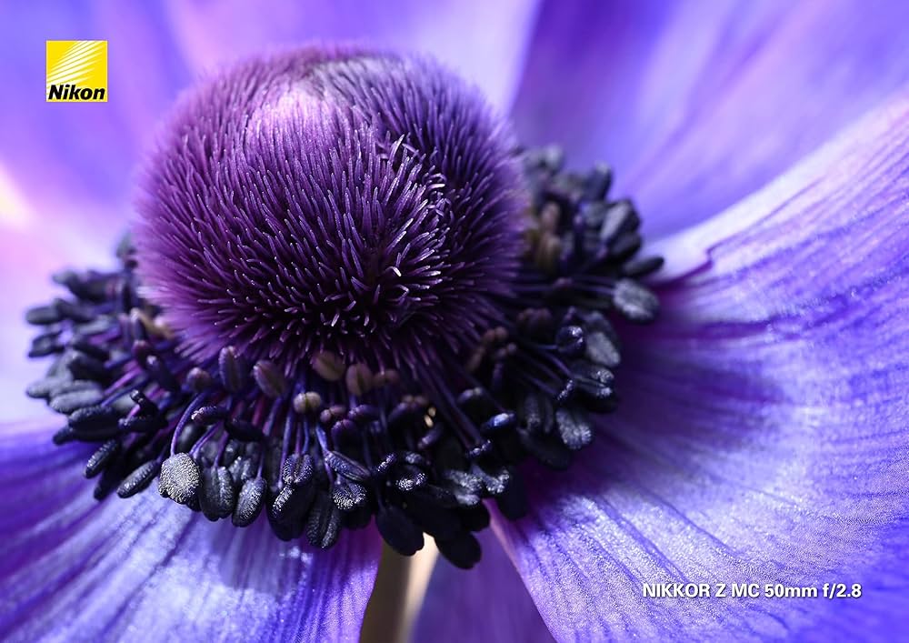 Amazon | 【セット買い】Nikon 単焦点マクロレンズ NIKKOR Z MC 50mm f