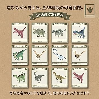 Amazon.co.jp: 子供 カードゲーム (恐竜ペアカード・神経衰弱) : おもちゃ