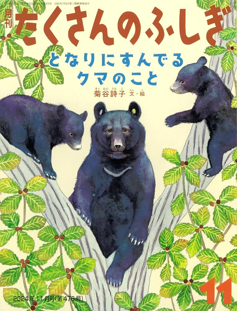 となりにすんでるクマのこと (たくさんのふしぎ2024年11月号) | 菊谷