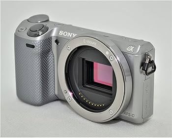 81V10SsYfbL._AC_UF350,