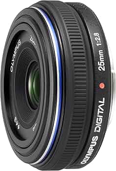 81V4DniV7rL._AC_UF350,