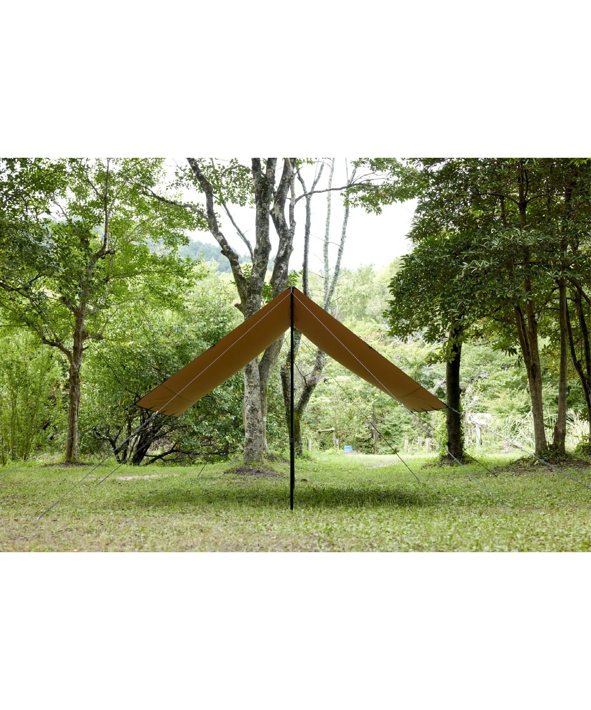 Amazon | [ビジョンピークス] マルチタープソロ TCマルチタープSOLO