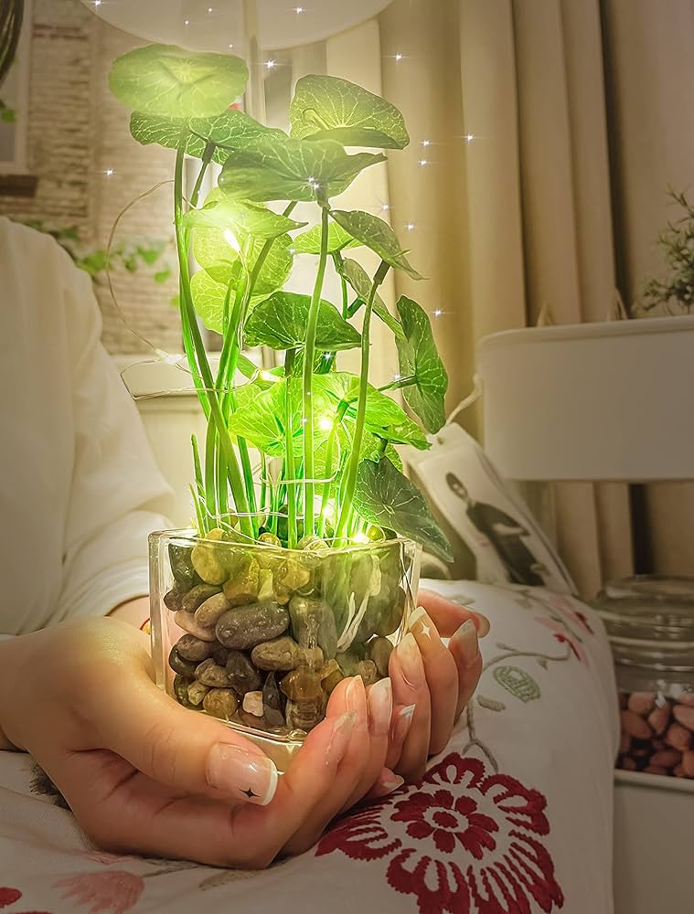 Amazon｜Aicvhin 人工観葉植物 光触媒 プレミアム LEDライト付き 造花