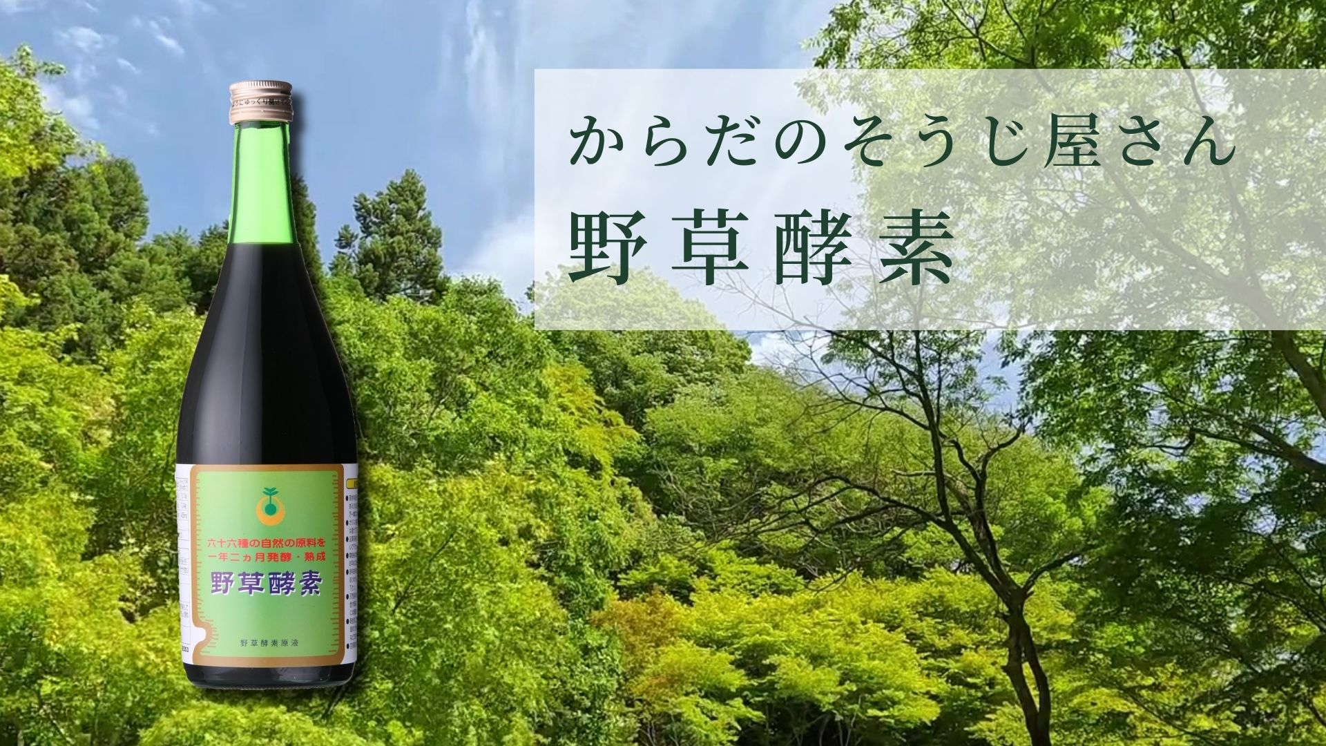 Amazon | 66品目の栄養素がたっぷり！野草酵素 (720ml) | 野草酵素