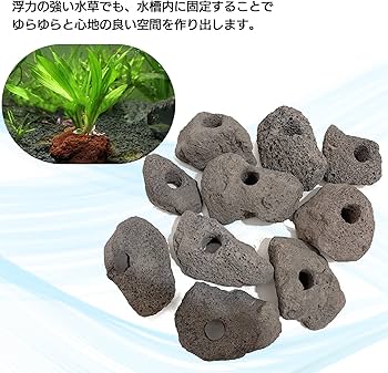 Amazon | モデルノ ラ テール 溶岩石 穴あき アクアリウム オブジェ