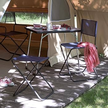 Amazon.co.jp: ラフマ(Lafuma) アウトドア用 ディレクターズ チェア