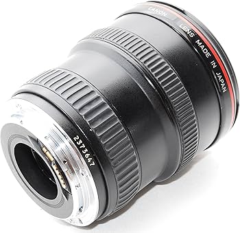 Amazon.co.jp: Canon キヤノン EF20-35mm F2.8L USM : 家電＆カメラ