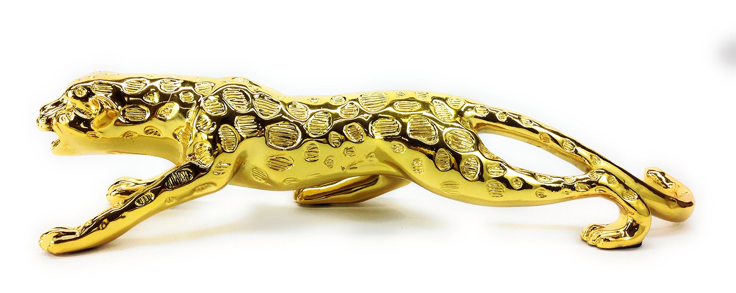 Amazon.co.jp: 【ノーブランド品】 美しい 輝き 躍動感 溢れる