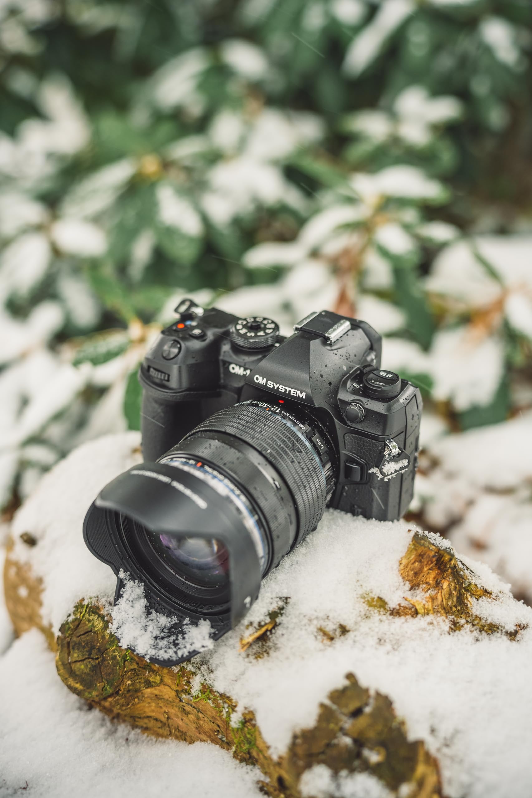 Amazon.com : OM SYSTEM Olympus OM-1 Mark II Micro Four Thirds