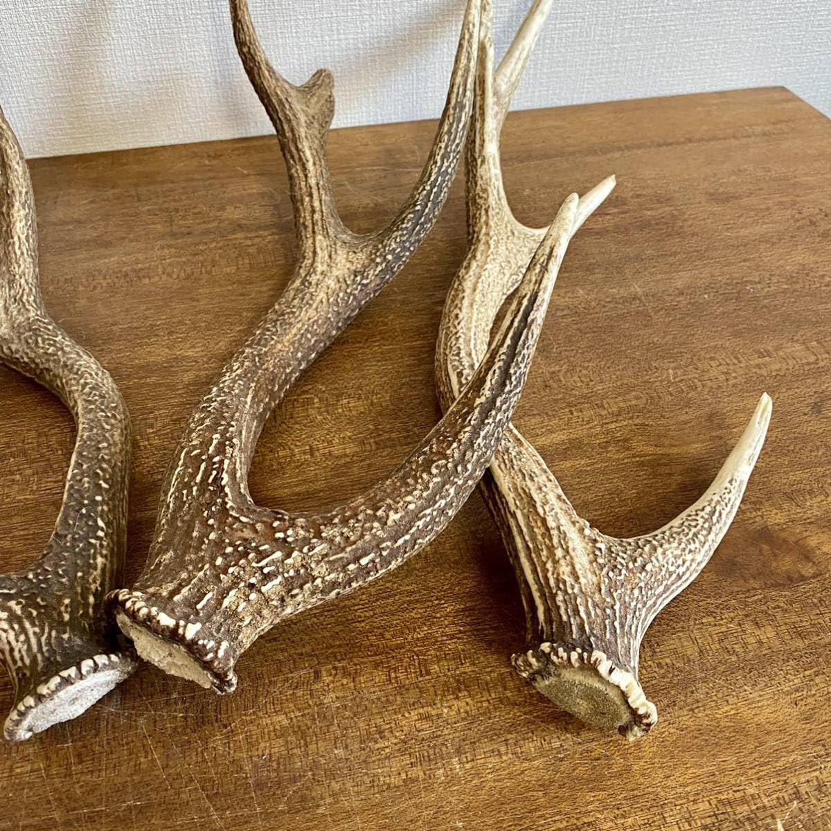 Amazon.co.jp: 大きめの鹿の角4本セット鹿角ディスプレイ飾りオブ