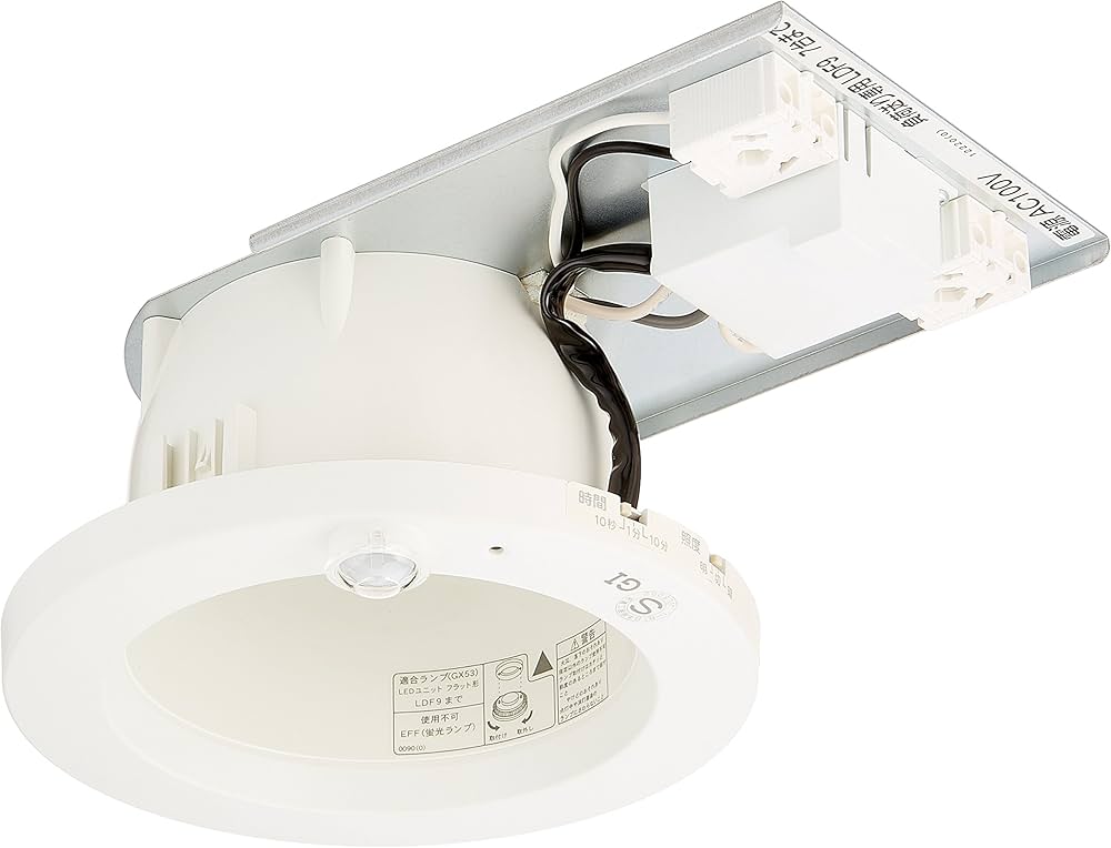 81YD-QqwbbL._AC_UF1000,