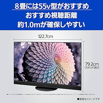 Amazon | パナソニック 55V型 4Kダブルチューナー内蔵 有機EL テレビ