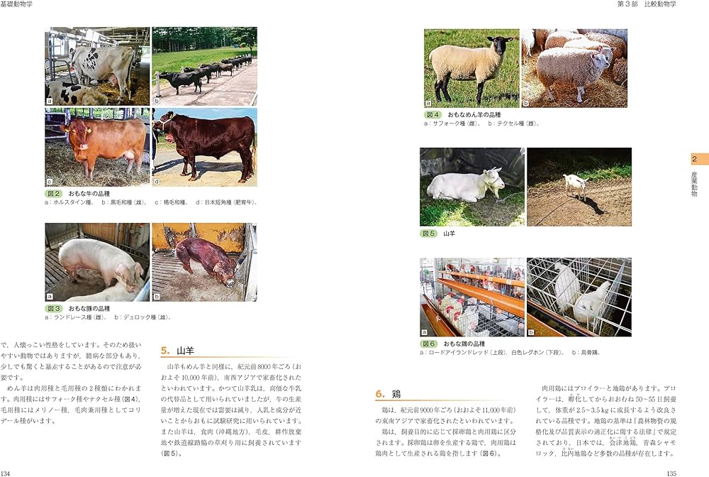 愛玩動物看護師の教科書 第2巻 | 緑書房編集部 |本 | 通販 | Amazon