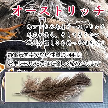 Amazon | 向島自動車用品製作所 車用 毛ばたき オーストリッチ