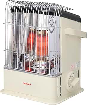 81Z20QH96LL._AC_UF350,