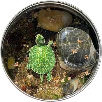 Amazon | BACALYSO | アカミミガメ フィギュア 10CM級 動物 ミドリガメ