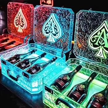 81ZKUuJm08L._AC_UF350,