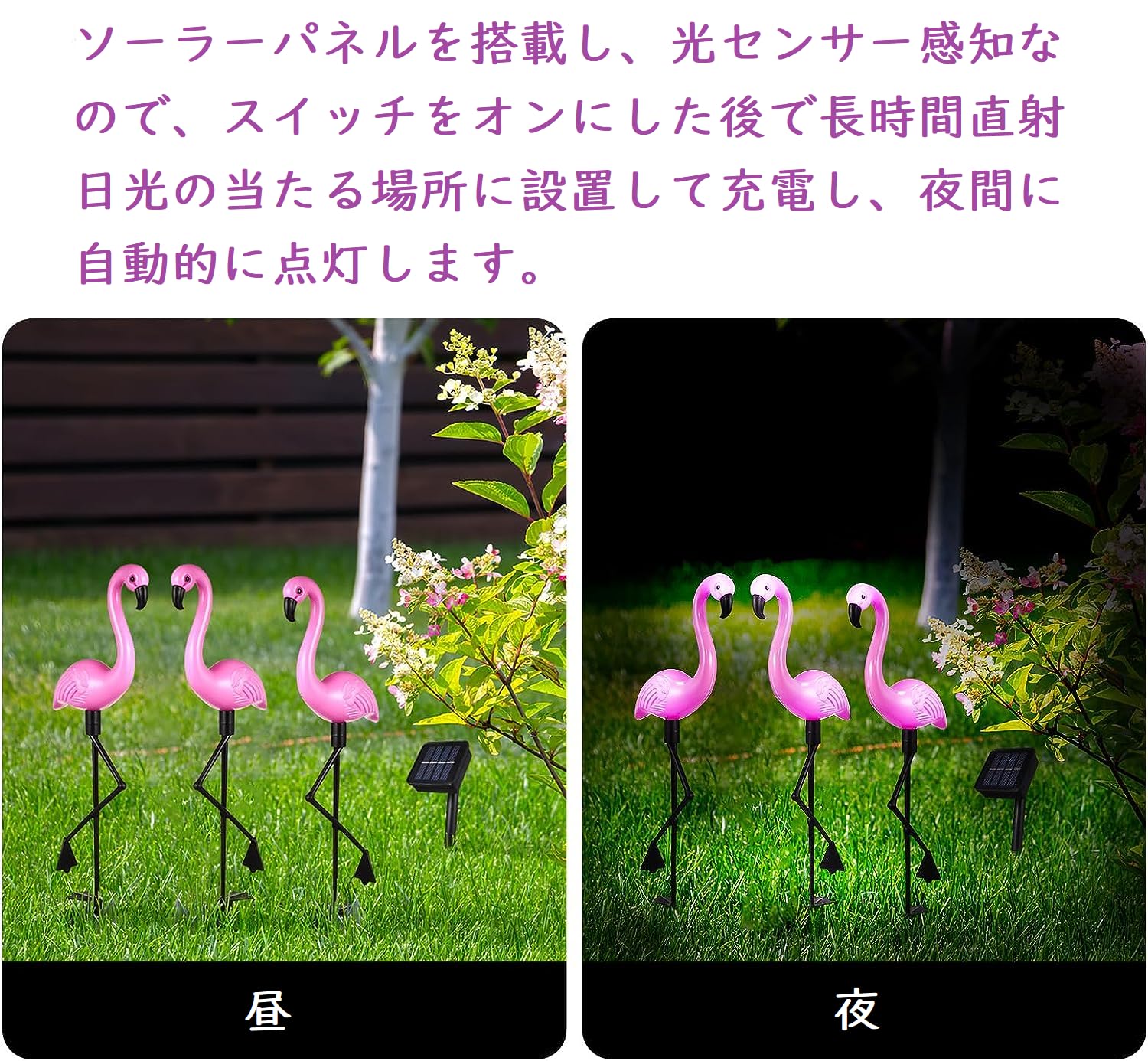 Amazon.co.jp: ledmomo 3点セット フラミンゴガーデンライト ソーラー