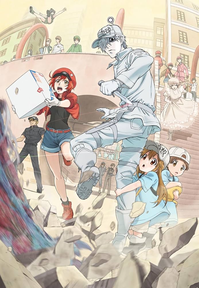 Amazon.co.jp: はたらく細胞 7(完全生産限定版) [DVD] : 花澤香菜