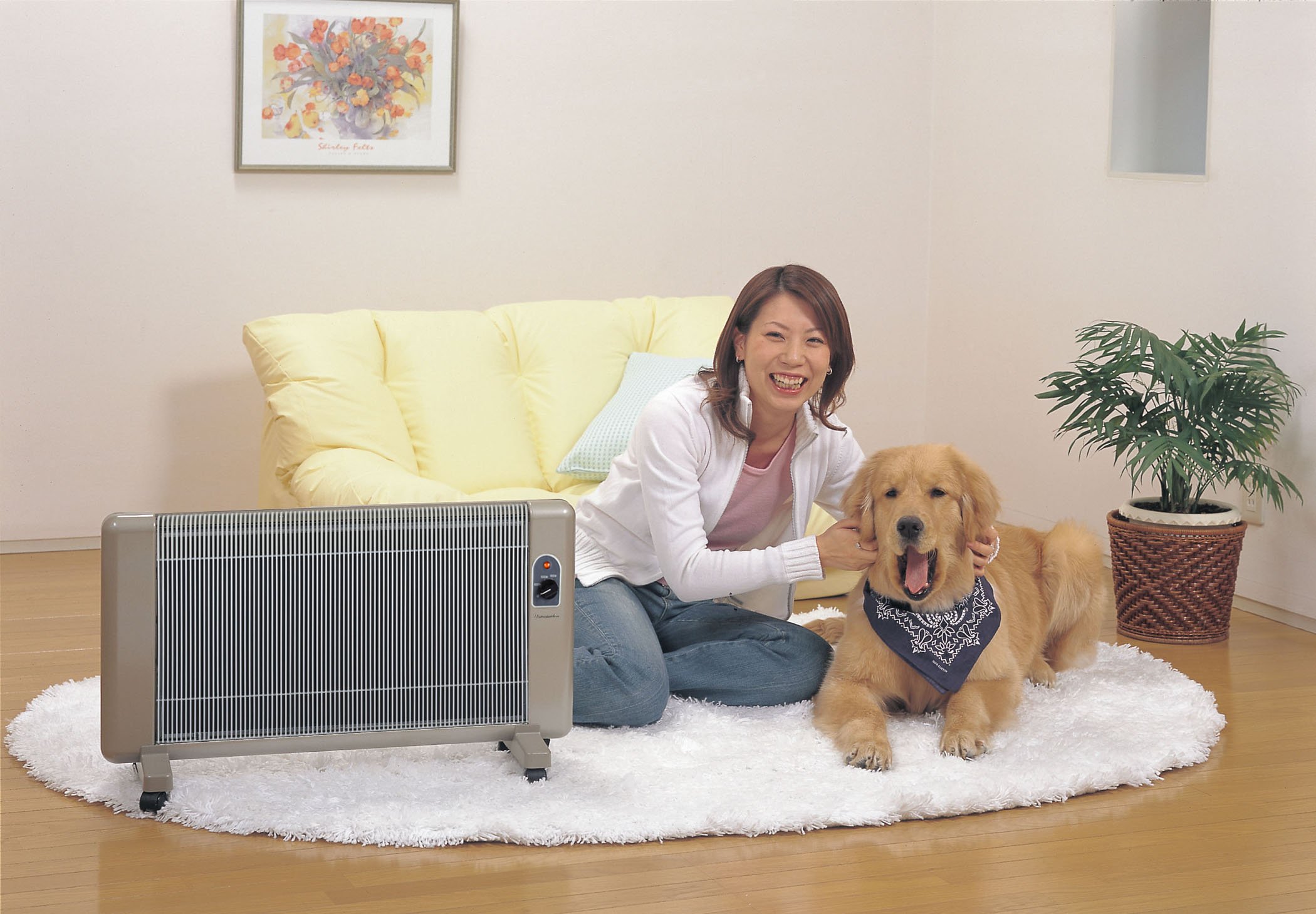 Amazon | 夢暖望 900型 ダイヤルタイマーセット 累計販売台数26万台