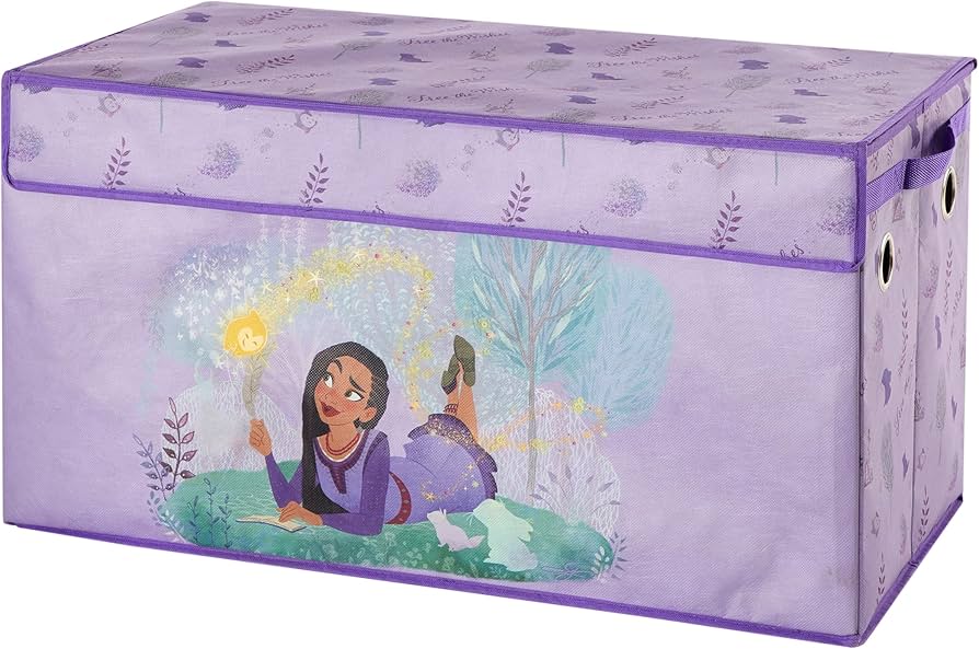 Amazon.com: Idea Nuova Disney Wish Collapsible Storage Trunk