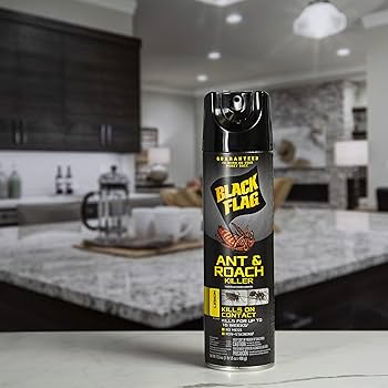 Amazon.com: Black Flag Ant and Roach Killer 17.5 Ounces, Aerosol