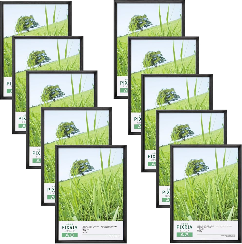 Amazon | ハクバ HAKUBA 木製 額縁 ピクスリア [A3サイズ ブラック 10