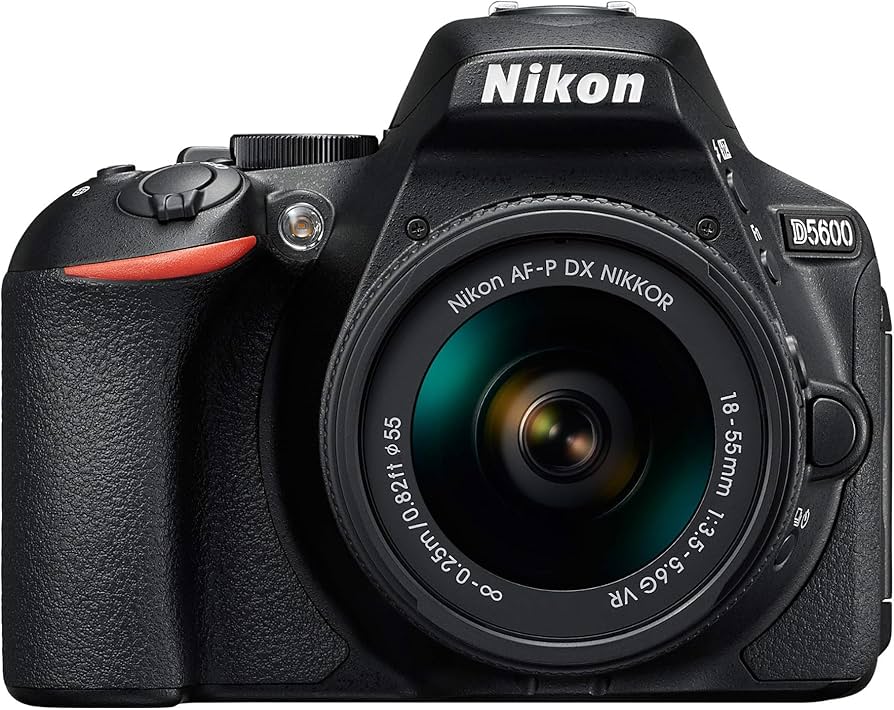 Amazon.com : D5600 DX-Format Digital SLR w/AF-P DX NIKKOR 18-55mm