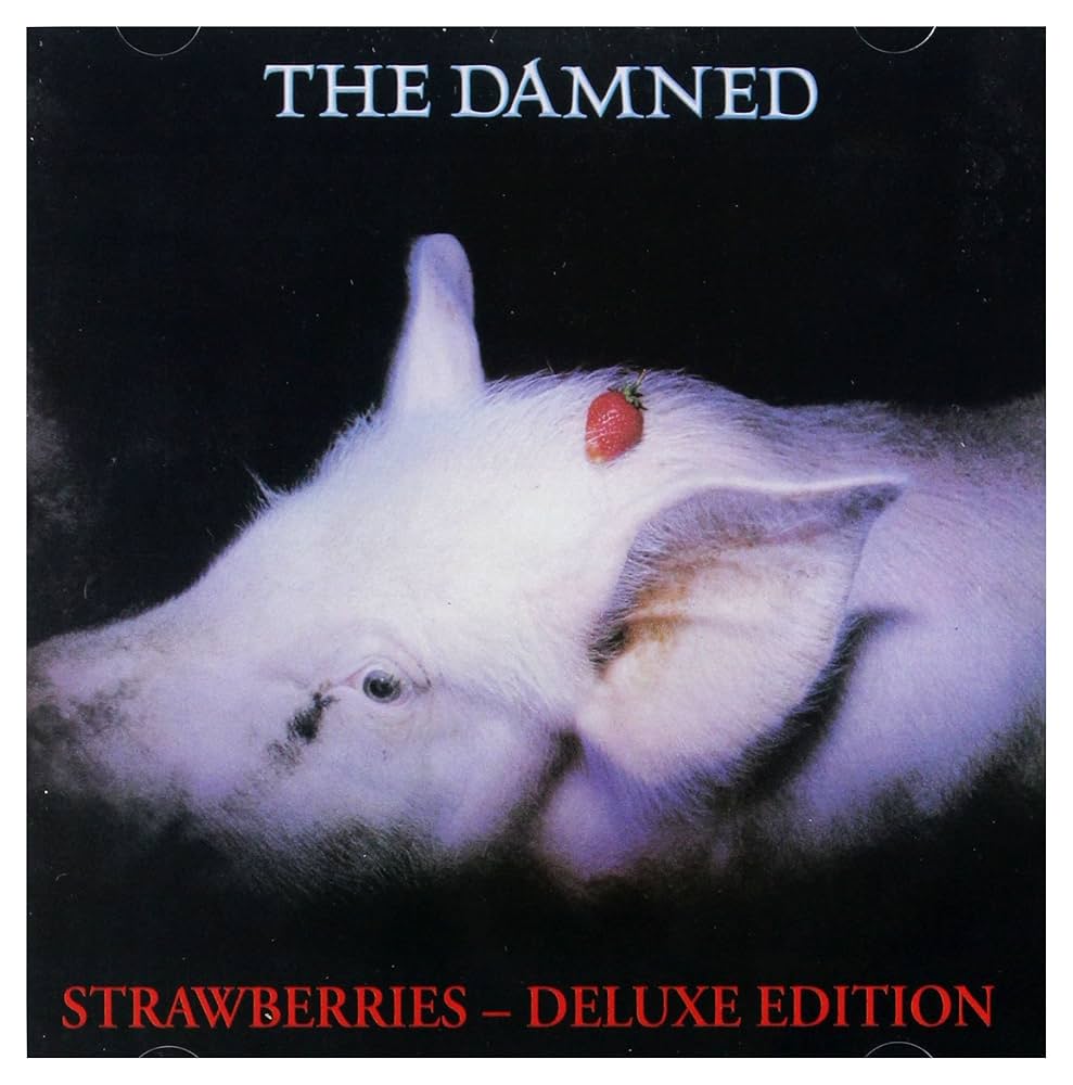 Amazon.co.jp: Strawberries: ミュージック
