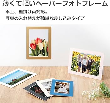 Amazon.co.jp: HAKUBA ペーパーフォトフレーム インサートカラー