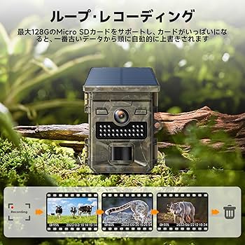 Amazon.co.jp: 2025最新型 トレイルカメラ ソーラー 4K 48MP 防犯