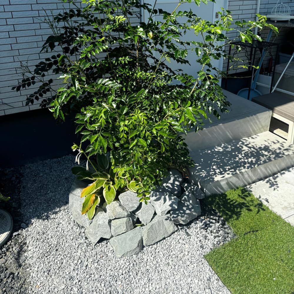 Amazon.co.jp: 白砂実 ガーデニング ロックガーデン 庭石 アプローチ