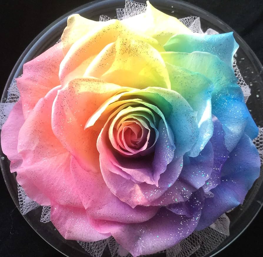 Amazon｜[北海道レインボーローズ専門店] フローラル BABY DOLL