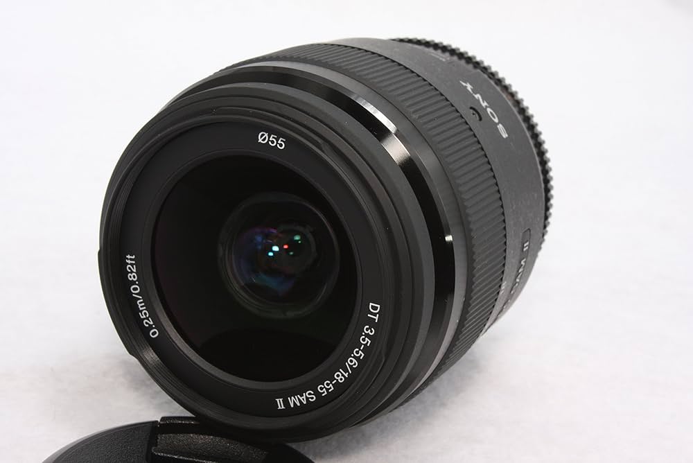 Amazon.co.jp: SONY DT 18-55mm F3.5-5.6 SAM II : 家電＆カメラ