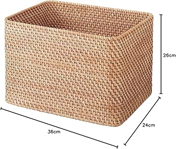 81cQSntSOZL._AC_UF350,