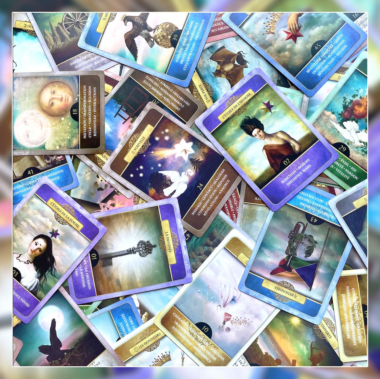 Amazon.co.jp: 【正規品】べリーヌ Le Belline【オラクルベリーヌの