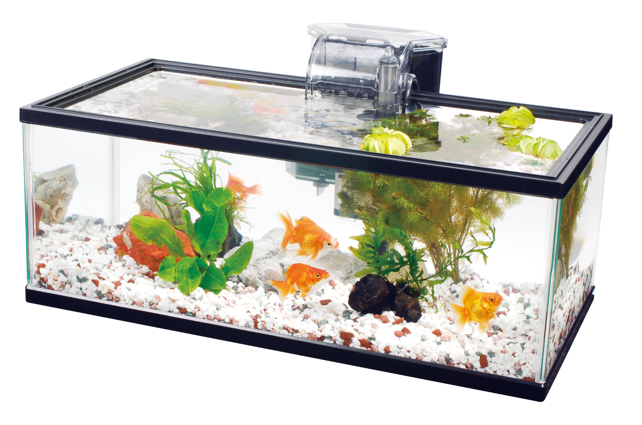 Amazon | 寿工芸 コトブキ工芸 外掛け式フィルター プロフィット